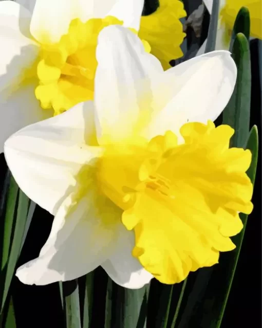 Trumpet Daffodils Close Up Diamond Painting