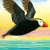 Tufted Puffin Art Diamond Painting