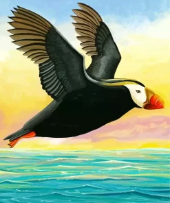 Tufted Puffin Art Diamond Painting