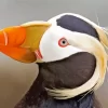 Tufted Puffin Bird Diamond Painting