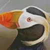 Tufted Puffin Bird Diamond Painting