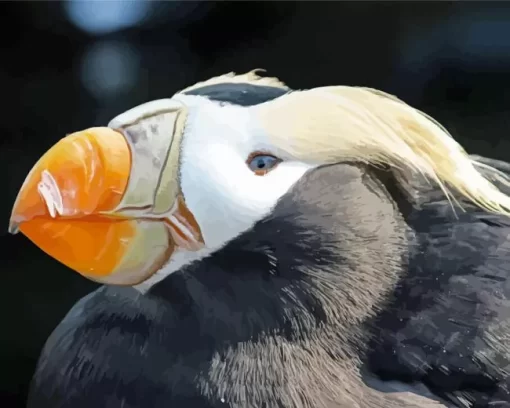 Tufted Puffin Close Up Diamond Painting