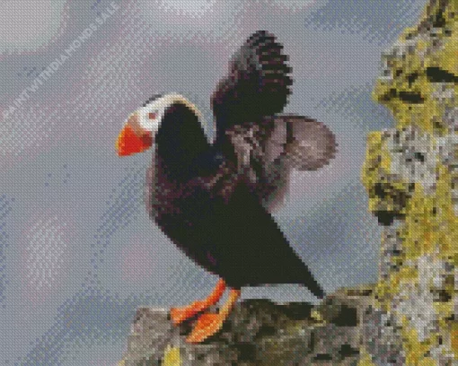 Tufted Puffin Wings Diamond Painting