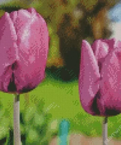 Tulip Purple Prince Bulbs Diamond Painting