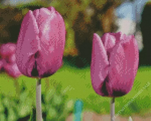 Tulip Purple Prince Bulbs Diamond Painting