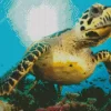 Turtle Underwater Diamond Painting