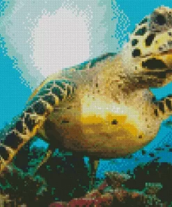 Turtle Underwater Diamond Painting