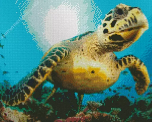 Turtle Underwater Diamond Painting