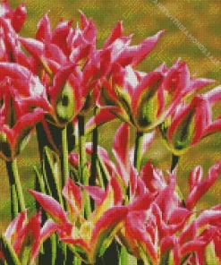 Viridiflora Tulips Diamond Painting