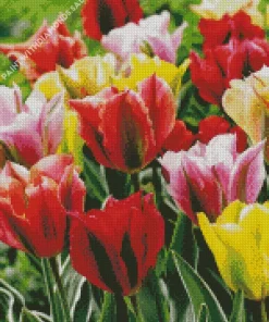 Viridiflora Tulips Flower Diamond Painting