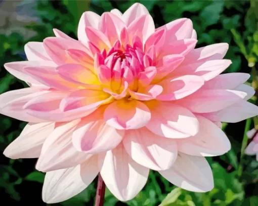 Waterlily Dahlias Diamond Painting