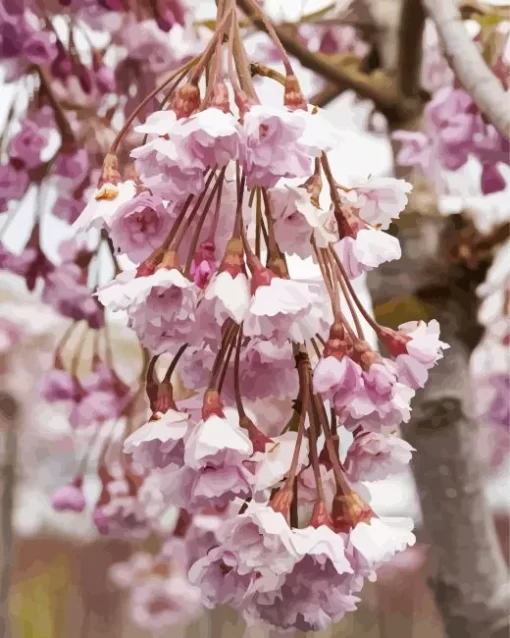 Weeping Cherry Tree Diamond Painting