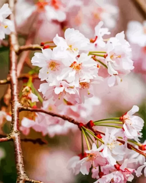 Weeping Cherry Tree Close Up Diamond Painting