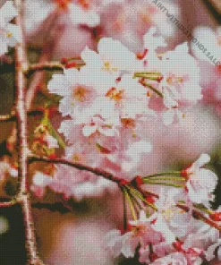 Weeping Cherry Tree Close Up Diamond Painting