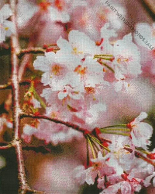 Weeping Cherry Tree Close Up Diamond Painting