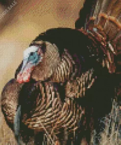 Wild Turkey Bird Diamond Painting