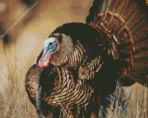 Wild Turkey Bird Diamond Painting