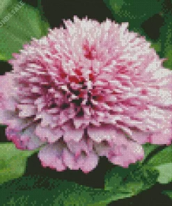 Zinderella Zinnia Diamond Painting