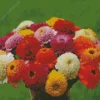 Zinderella Zinnia Mix Diamond Painting