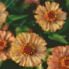 Zinnia Zinderella Peach Flowers Diamond Painting