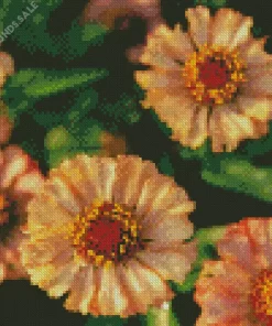 Zinnia Zinderella Peach Flowers Diamond Painting