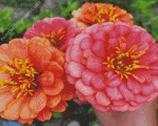 Zinnia Elegans Flowers Diamond Painting