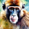 Abstract Monkey Diamond Painting