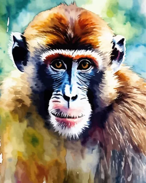 Abstract Monkey Diamond Painting