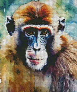 Abstract Monkey Diamond Painting