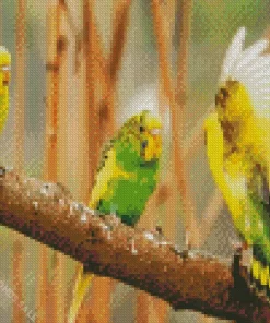 Adorable Budgie Diamond Painting