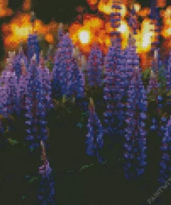 Aesthetic Bigleaf Lupine Diamond Painting