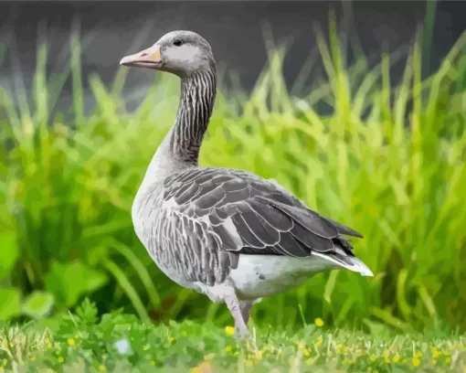 Aesthetic Greylag Goose Diamond Painting