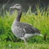 Aesthetic Greylag Goose Diamond Painting