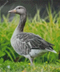 Aesthetic Greylag Goose Diamond Painting