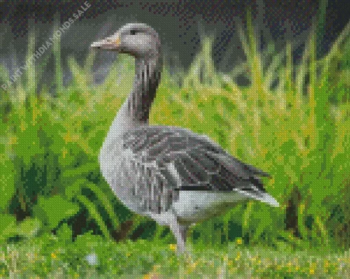 Aesthetic Greylag Goose Diamond Painting