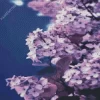 Aesthetic Lilacs Diamond Painting