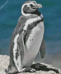 Aesthetic Magellanic Penguins Diamond Painting