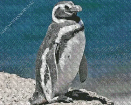 Aesthetic Magellanic Penguins Diamond Painting