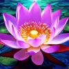 Aesthetic Sacred Lotus Diamond Painting