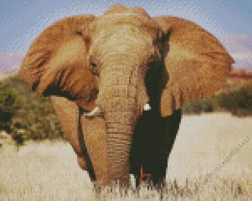 African Elephant Diamond Painting