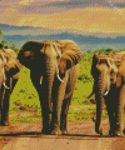 African Elephants Diamond Painting