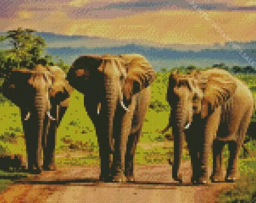 African Elephants Diamond Painting