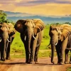 African Elephants Diamond Painting