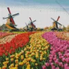 Amsterdam Holland Diamond Painting