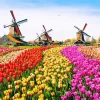 Amsterdam Holland Diamond Painting