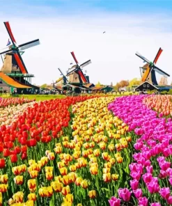 Amsterdam Holland Diamond Painting