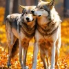 Autumn Wolf Couple Diamond Painting