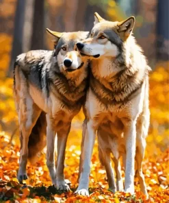 Autumn Wolf Couple Diamond Painting