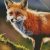 Baby Fox Diamond Painting