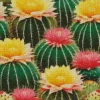 Barrel Cactus With Flowers Diamond Painting